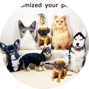 Pets