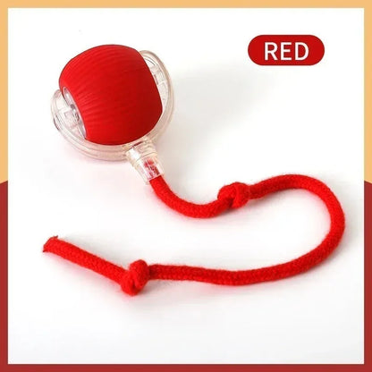 Lot de 2 balles interactives pour chat