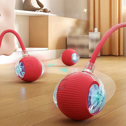 Lot de 2 balles interactives pour chat