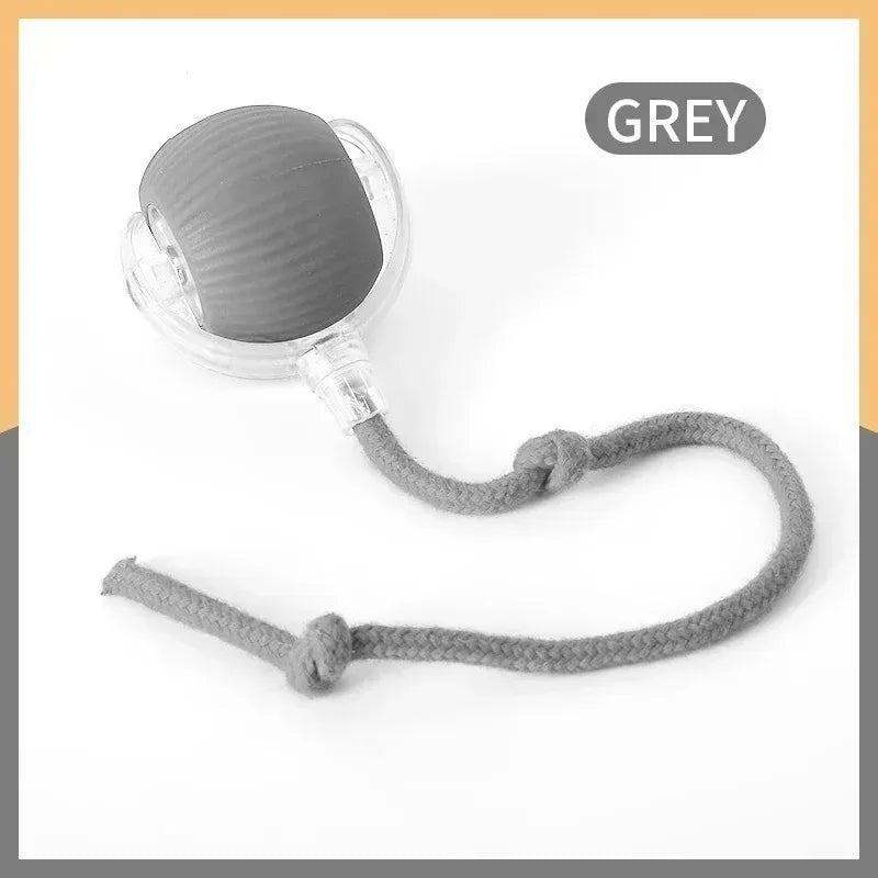Lot de 2 balles interactives pour chat