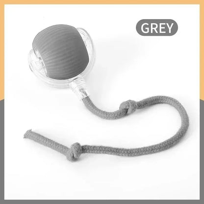 Lot de 2 balles interactives pour chat