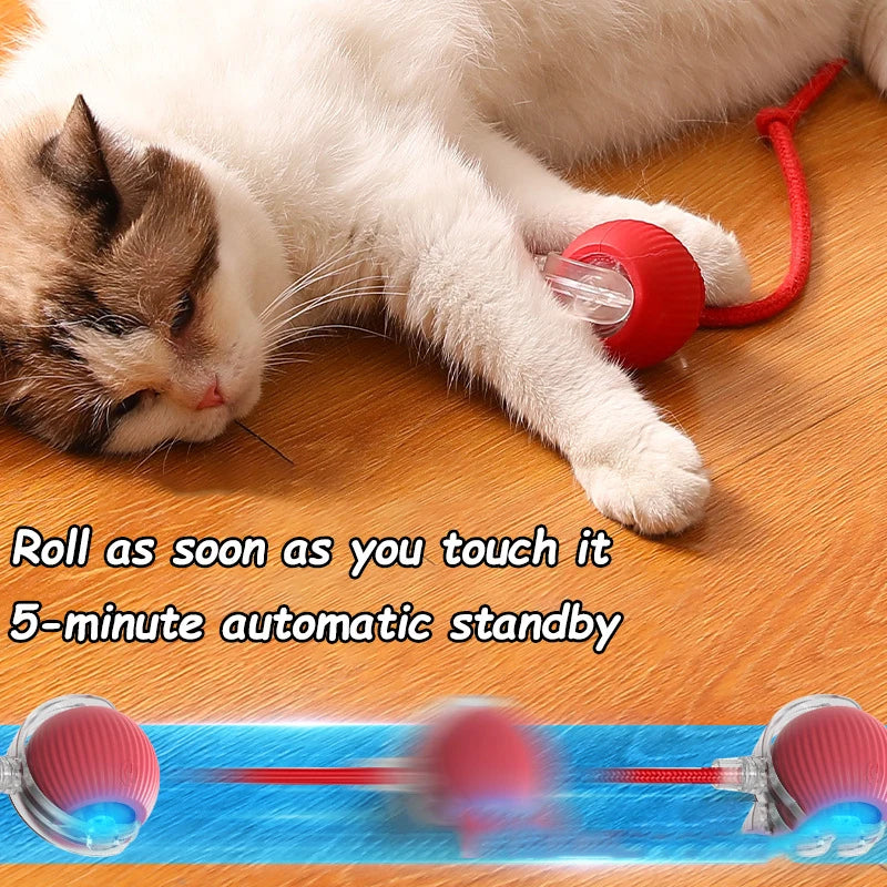 Lot de 2 balles interactives pour chat