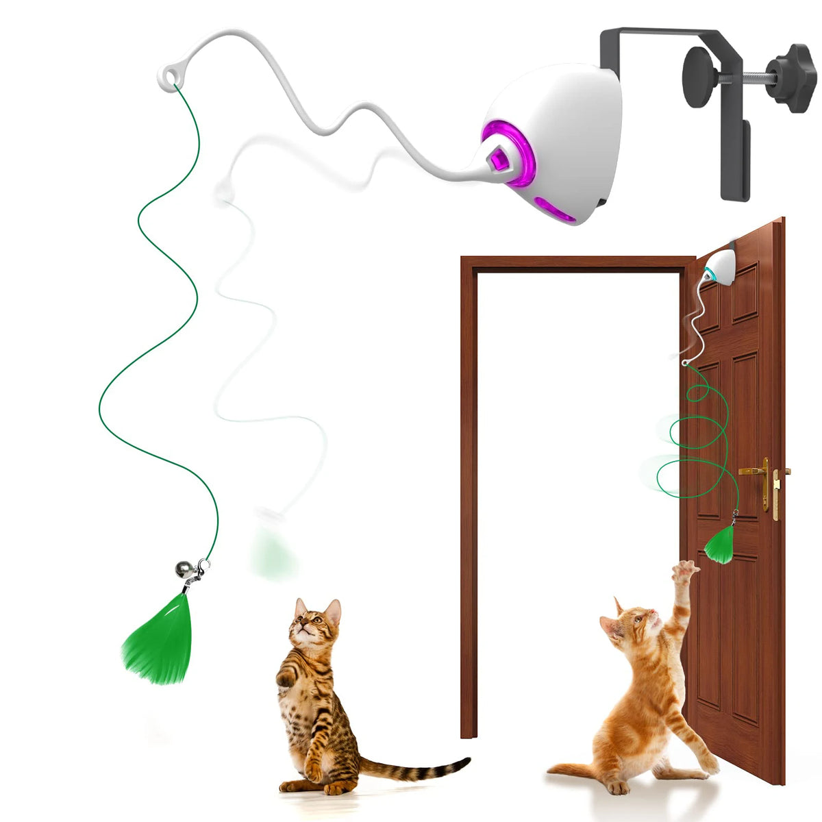 Corde pour jouet électrique pour chat
