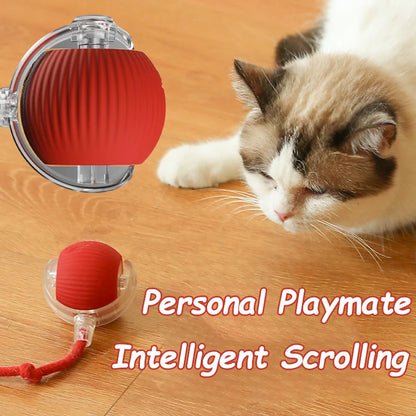 Lot de 2 balles interactives pour chat